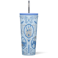 Disney Princess Cold Cup - Modern Daily Choice Pick